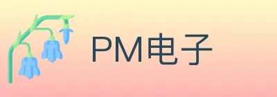 PM电子 logo